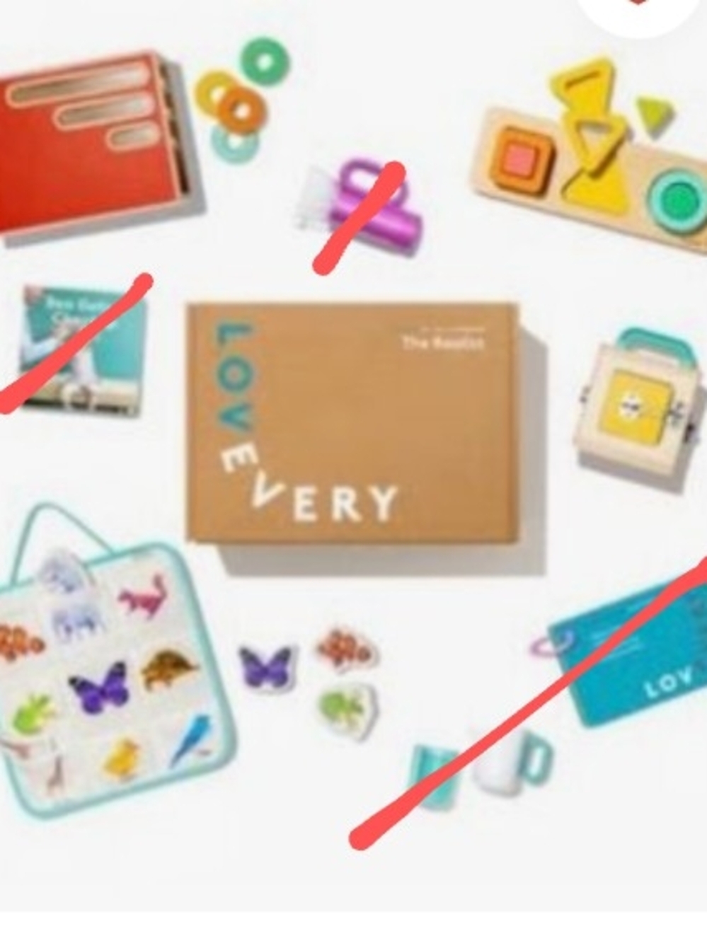Lovevery Play Kit Items- The Realist box 19, 20, 21 Months